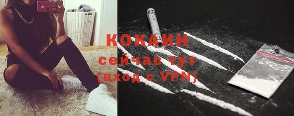 винт Бородино