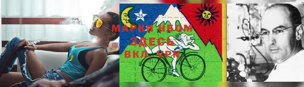 гидра Верхний Тагил