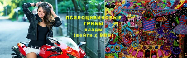гидра Верхний Тагил