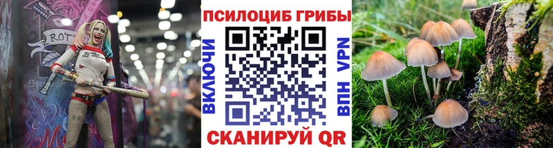 Галлюциногенные грибы Psilocybe  что такое   Лакинск 